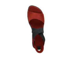 ARCHE Satia