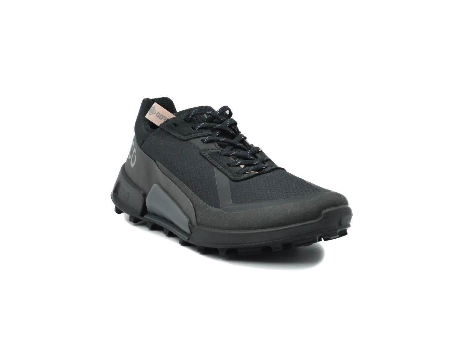 ECCO Biom 2.1 X Country