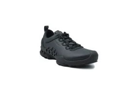 ECCO Biom AEX