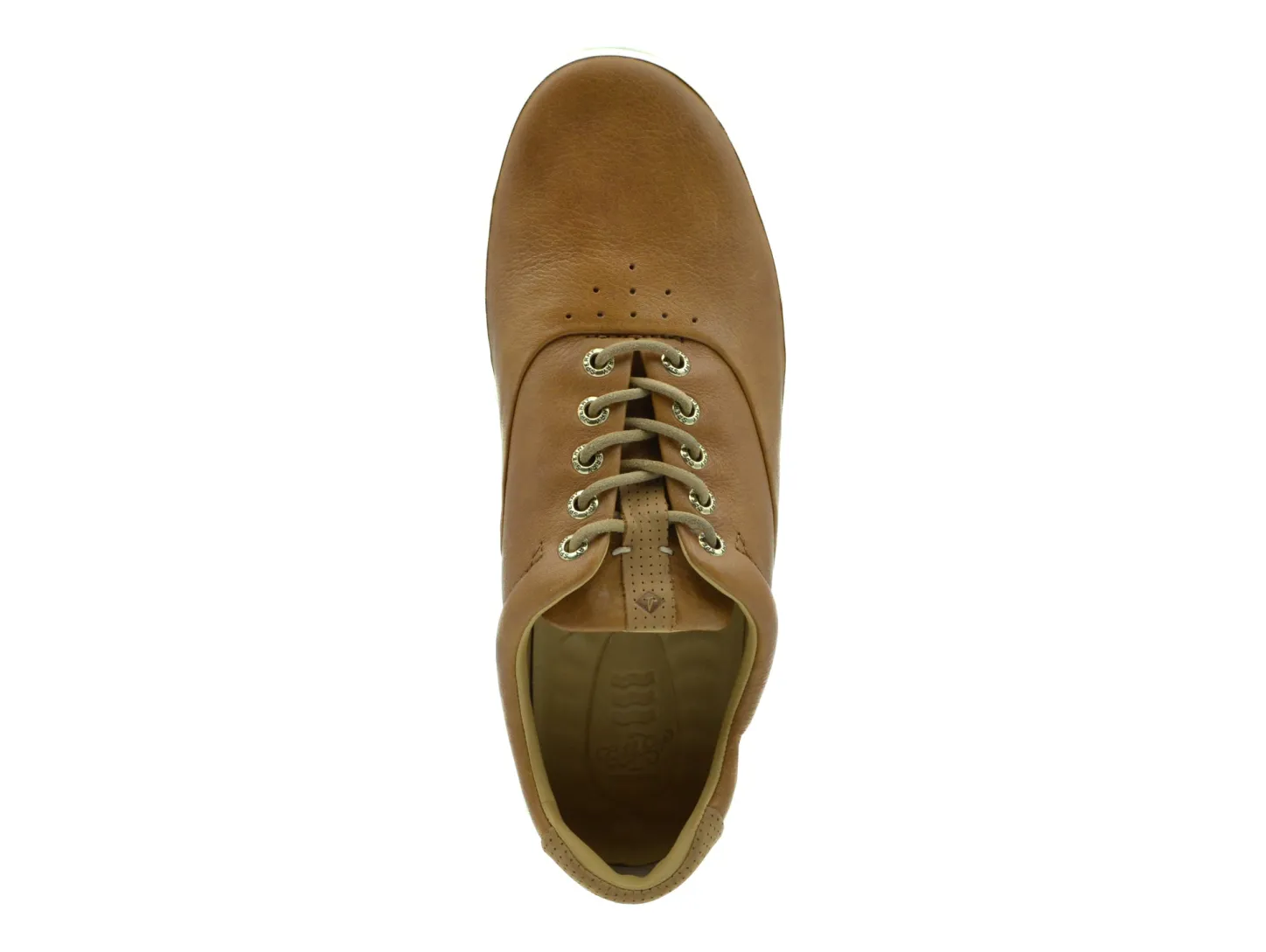 SPERRY Gold Cup™ Striper PLUSHWAVE™ CVO Sneaker